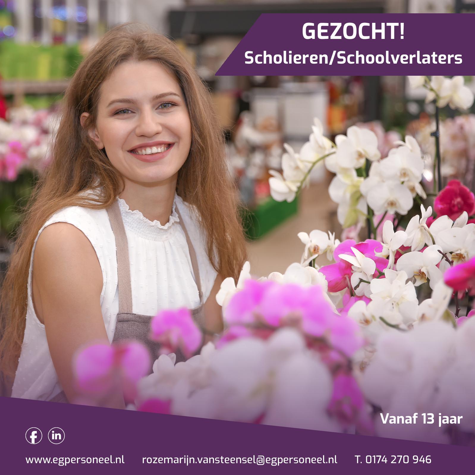 Scholieren gezocht!